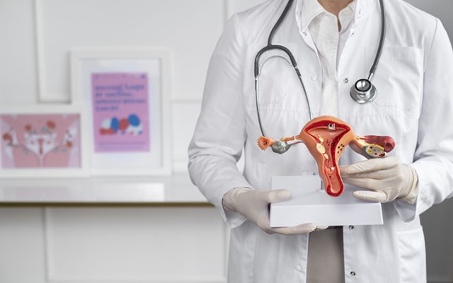 doctor-vista-frontal-modelo-anatomico